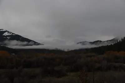 DSC_5761 (Large).JPG